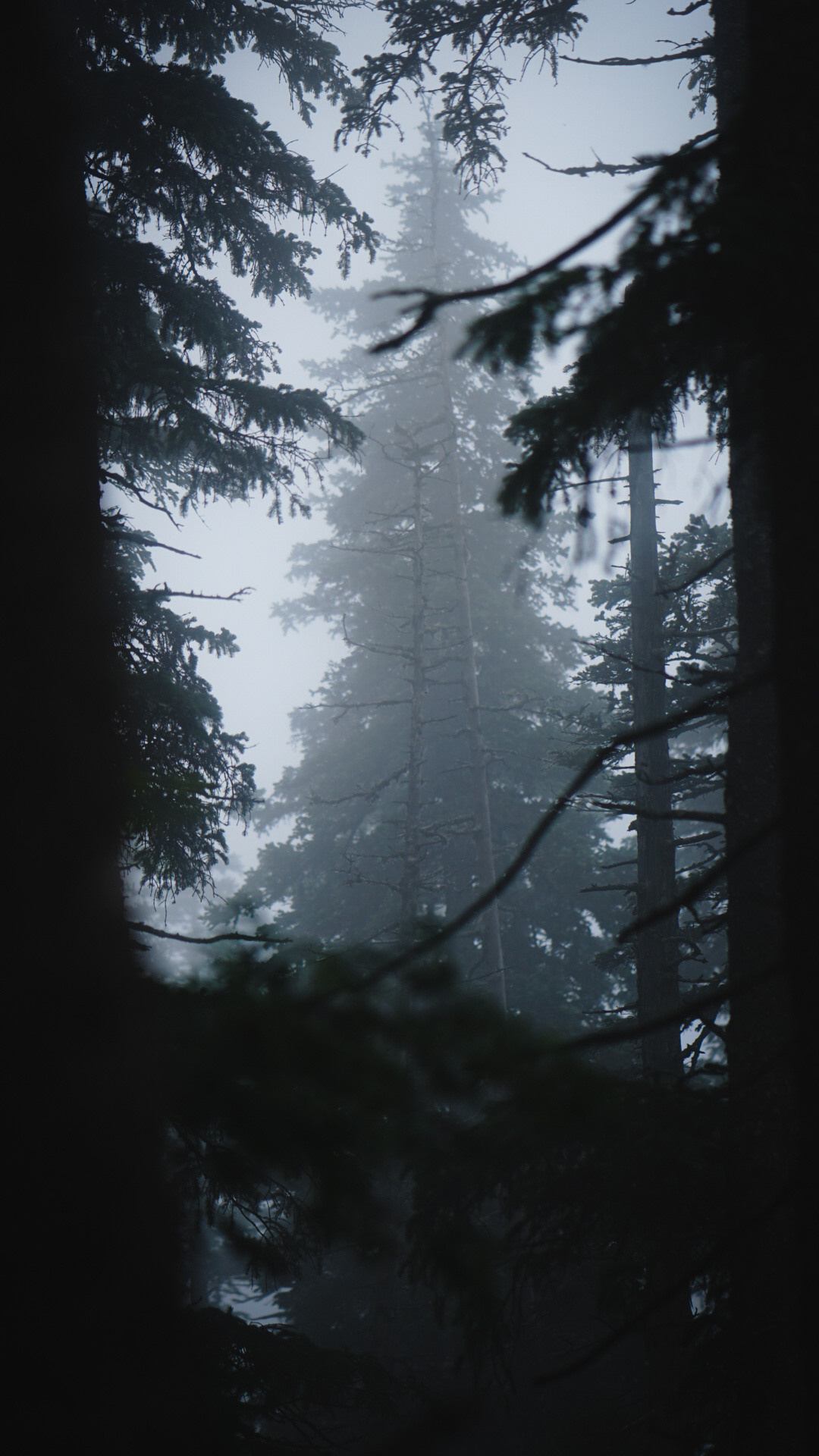 Фотограф в горах. Главная