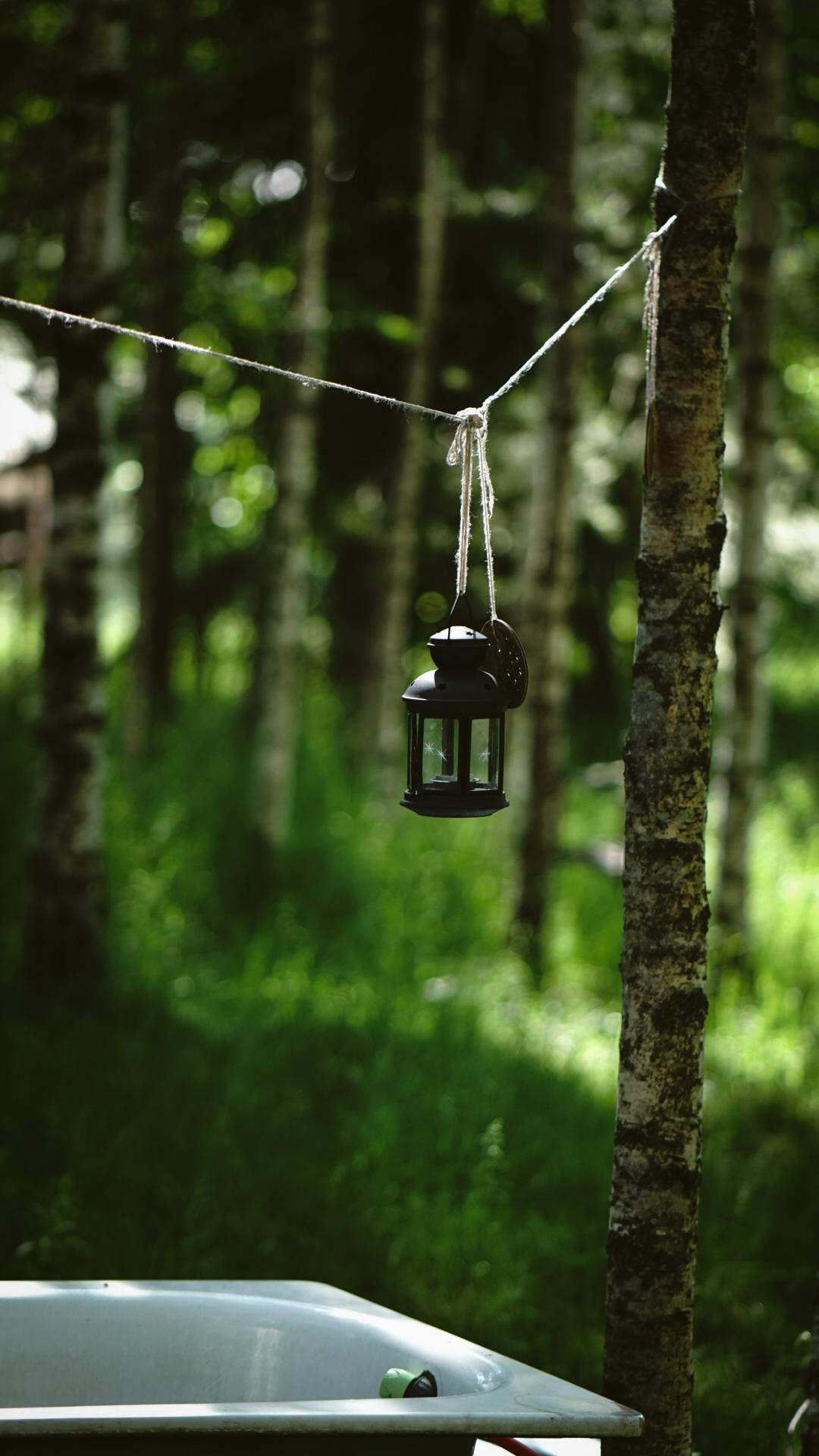 Ивана купала. Главная