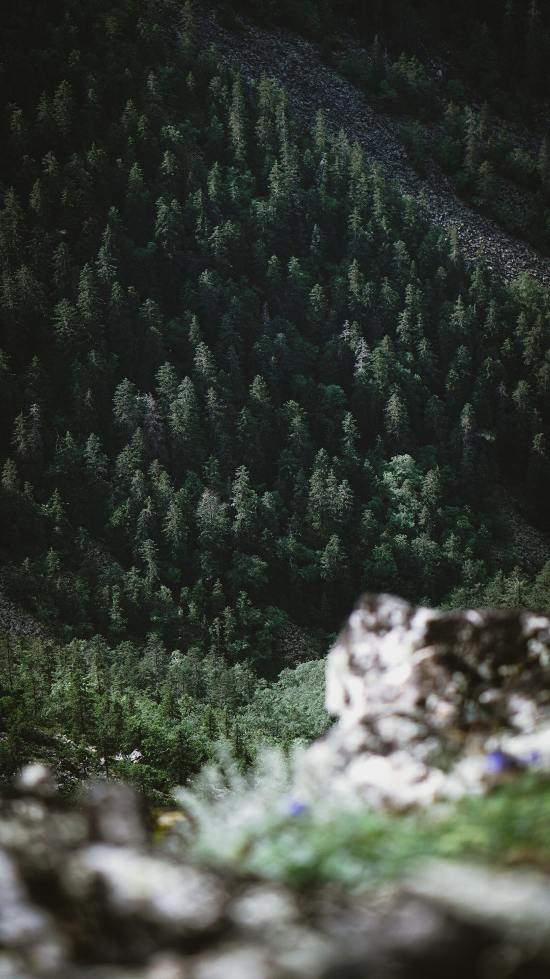 Фотограф в горах. Главная