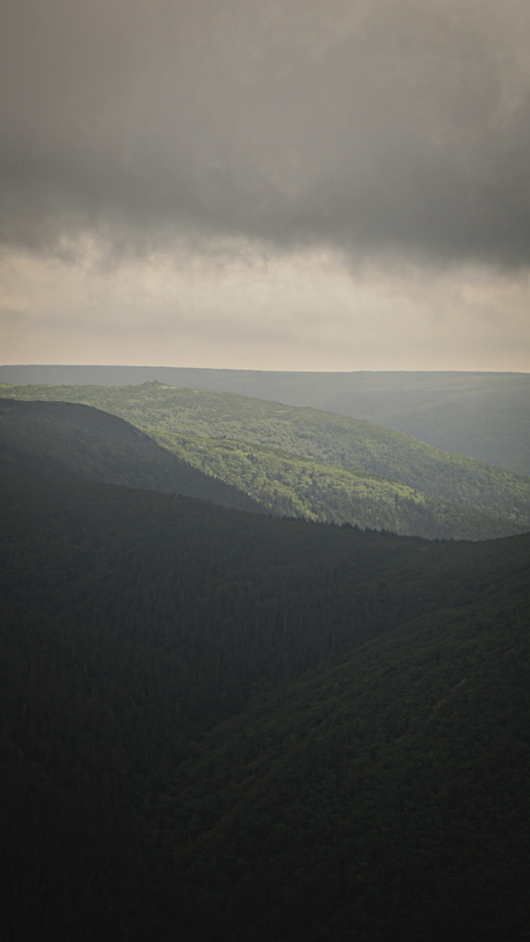 Фотограф в горах. Главная