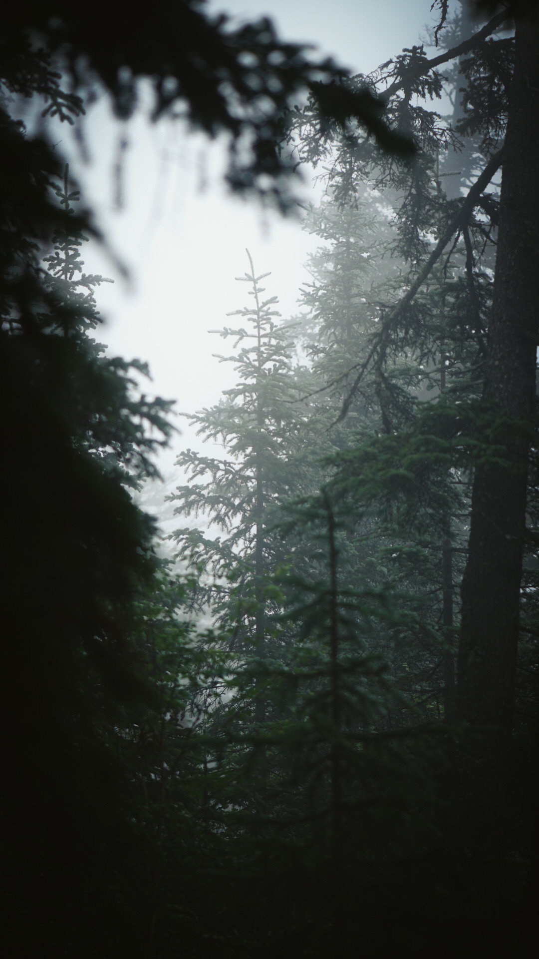 Фотограф в горах. Главная