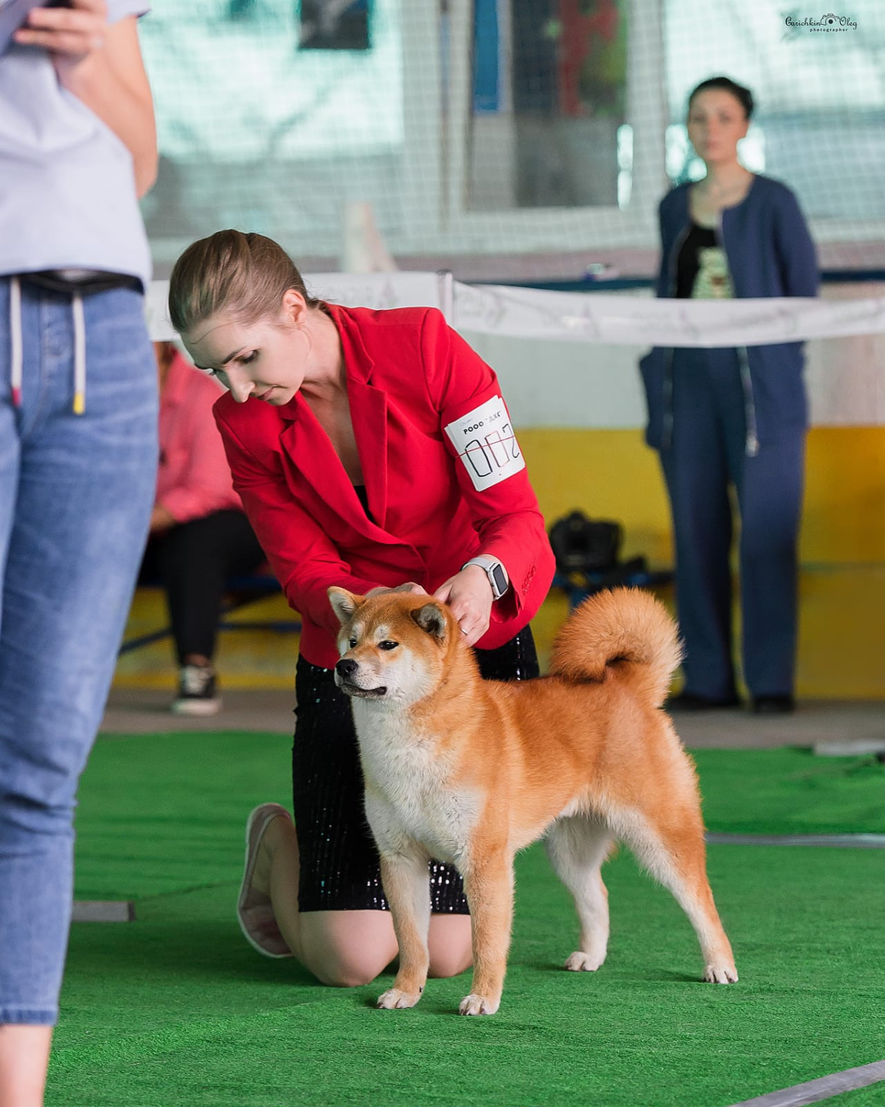 Сиба    Ганжи * Yuzhyy Solnechnyy Pes Ganji 