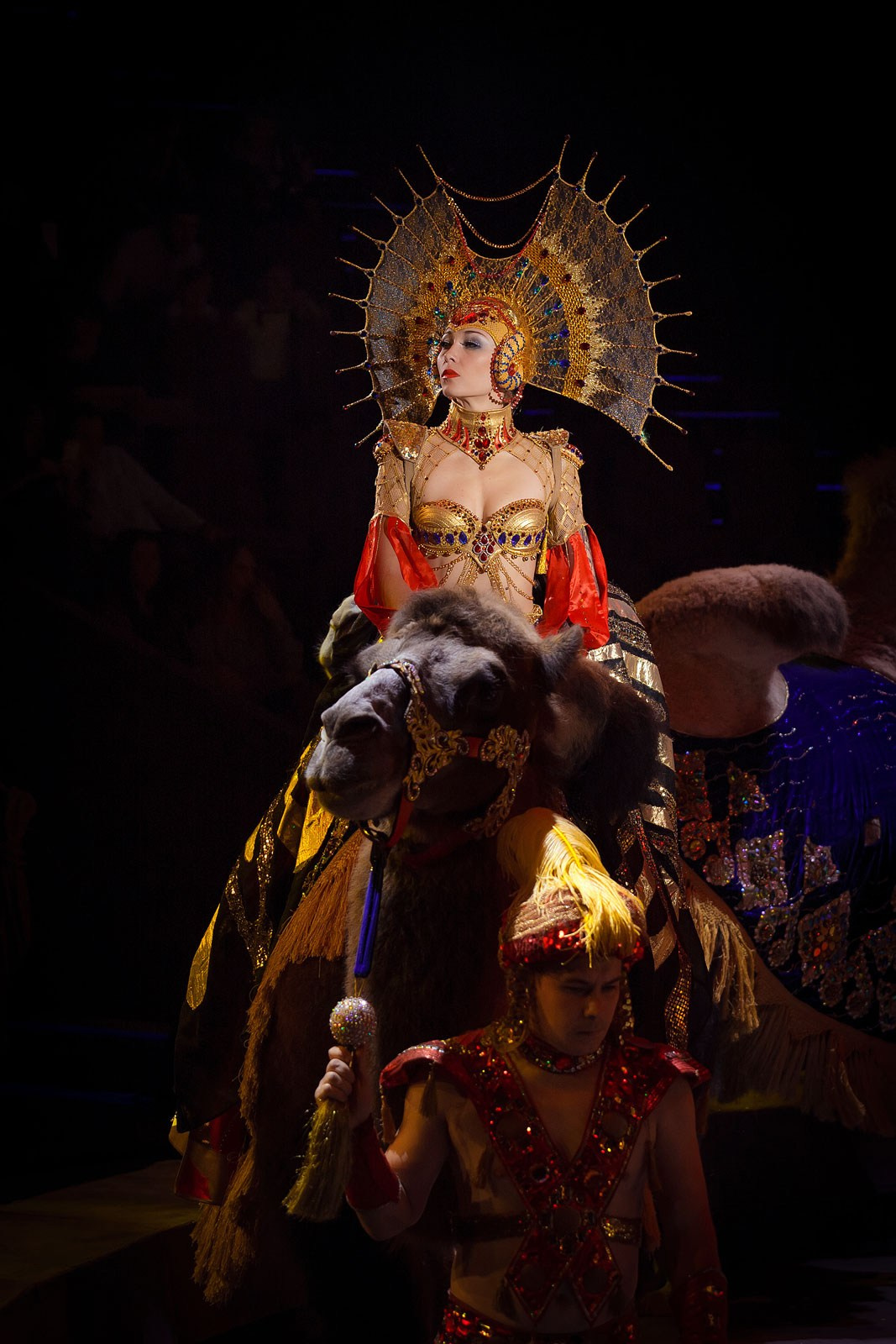 ЦИРК. Фотограф и видеограф для бизнеса в Москве — фуд, рестораны, интерьер, контент | Sizov Studio