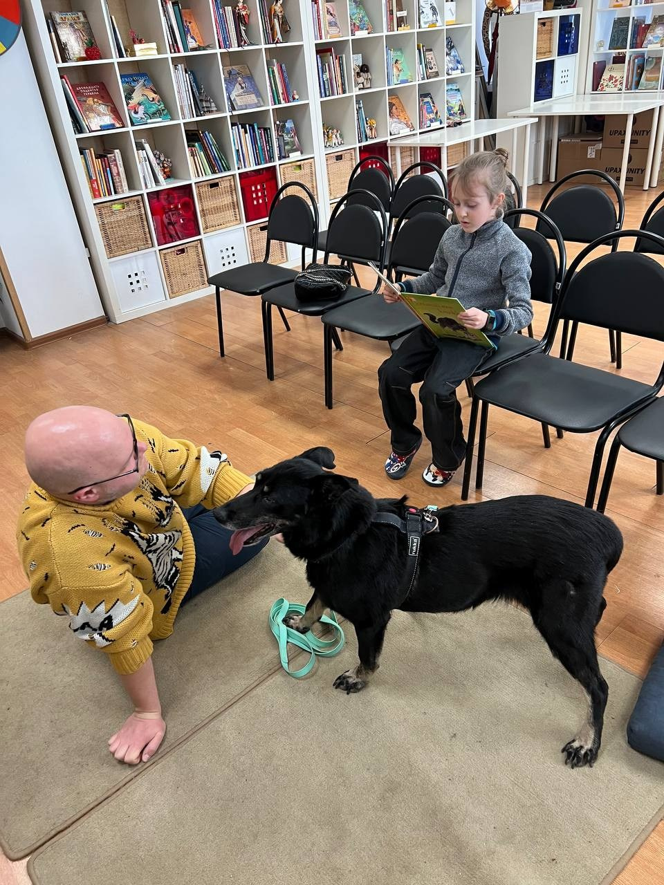 Прогулки и волонтерство. Забери домой друга