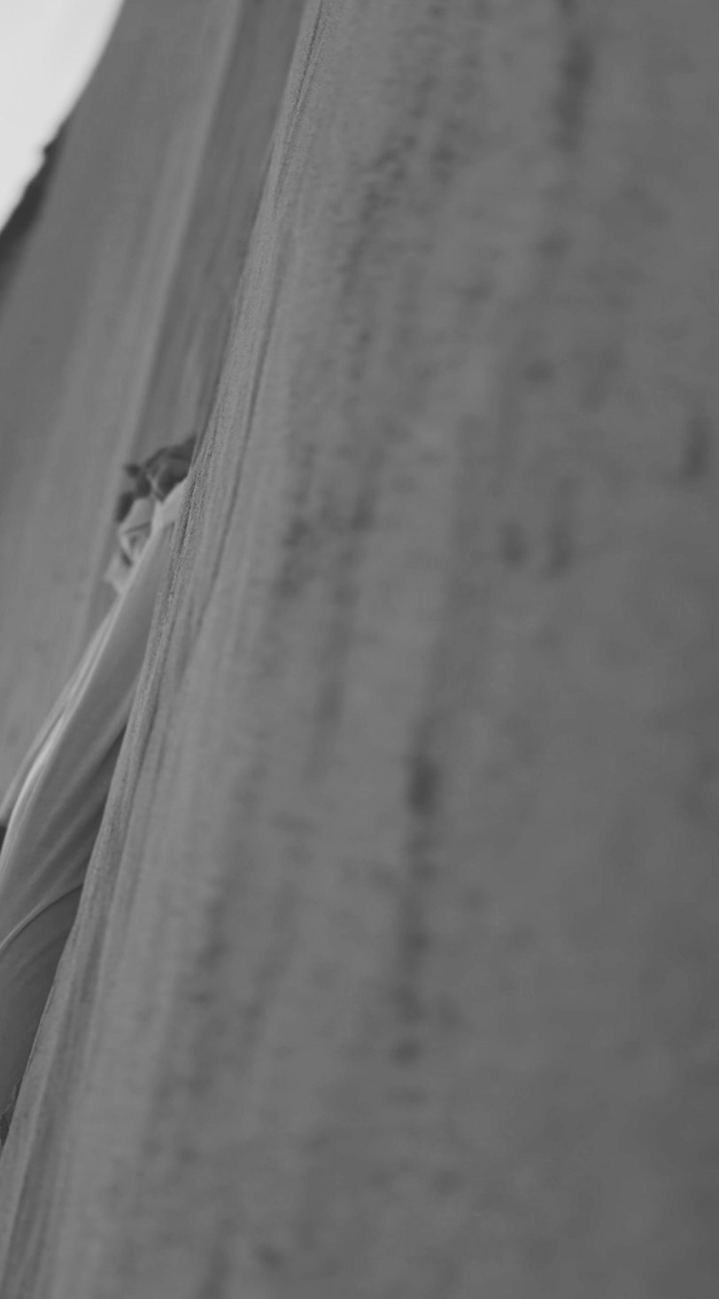 Женская фотография. Женский фотограф, видеограф, визуальный артист. Радужный ХМАО