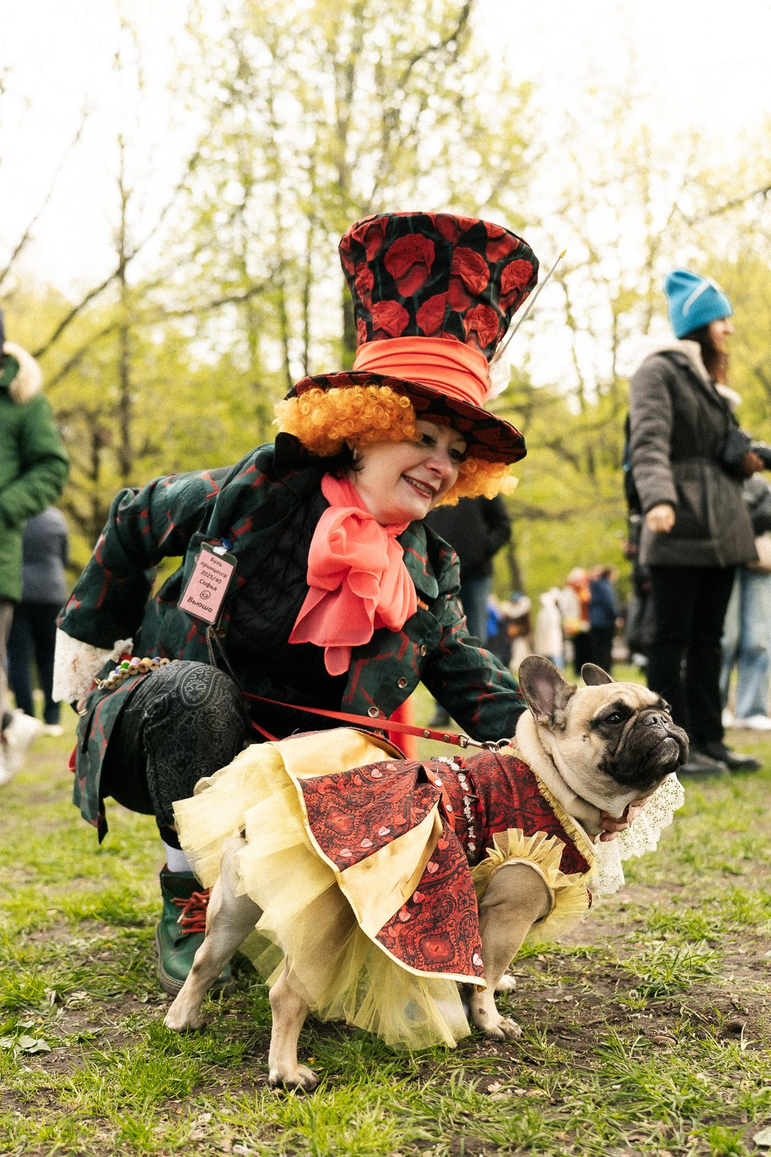 Парад Бульдогов. Axenov_eugene
