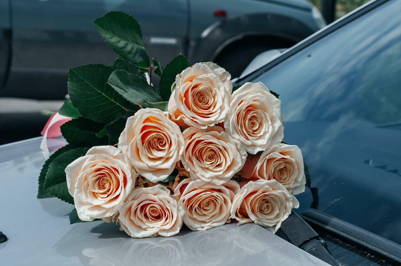 Свадьбы. Главная