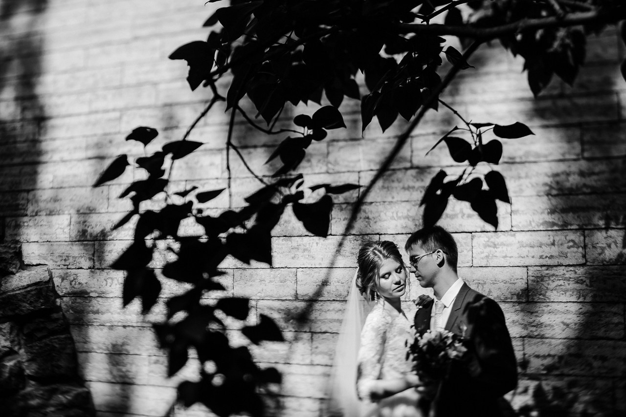 Подборка разных свадеб 2017-2020. Фотограф Дмитрий Сермяжко