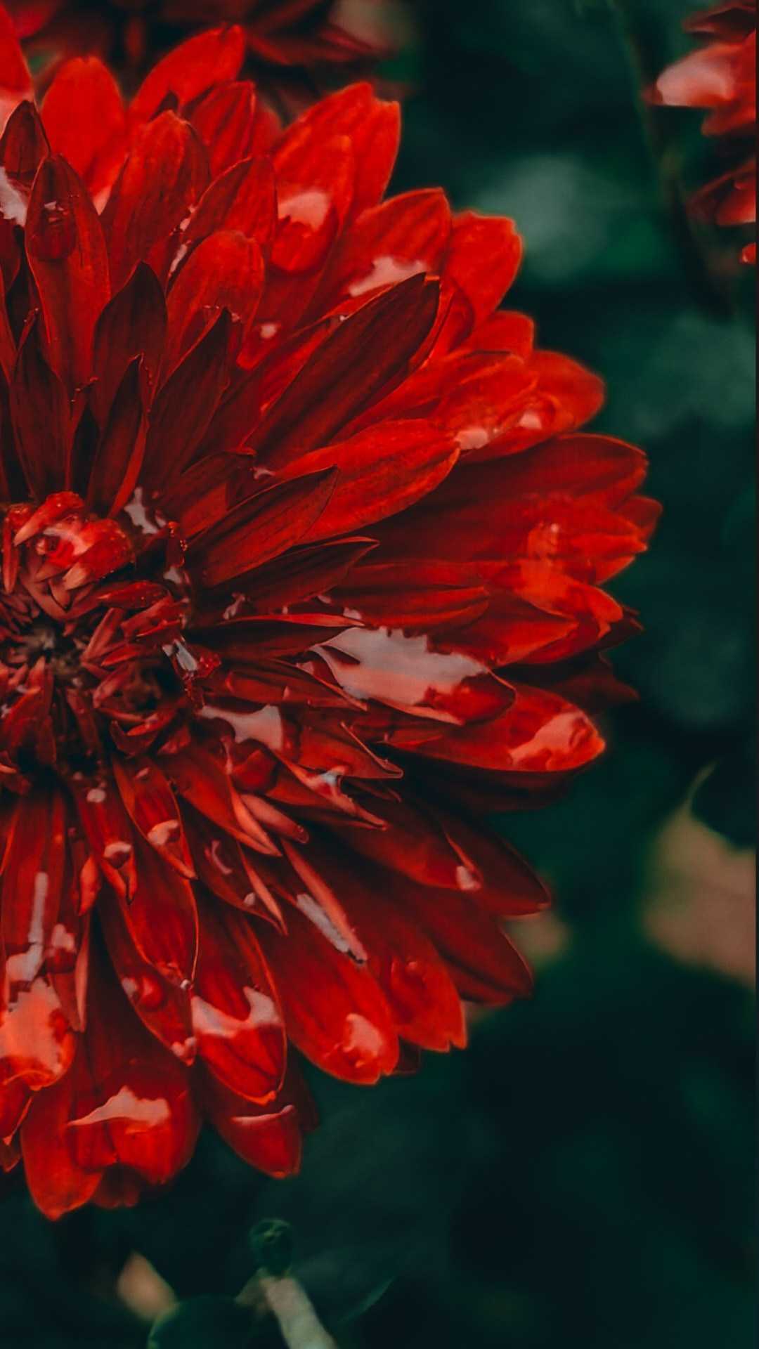 Академия фотографии. Фото/Ретушь/Обучение