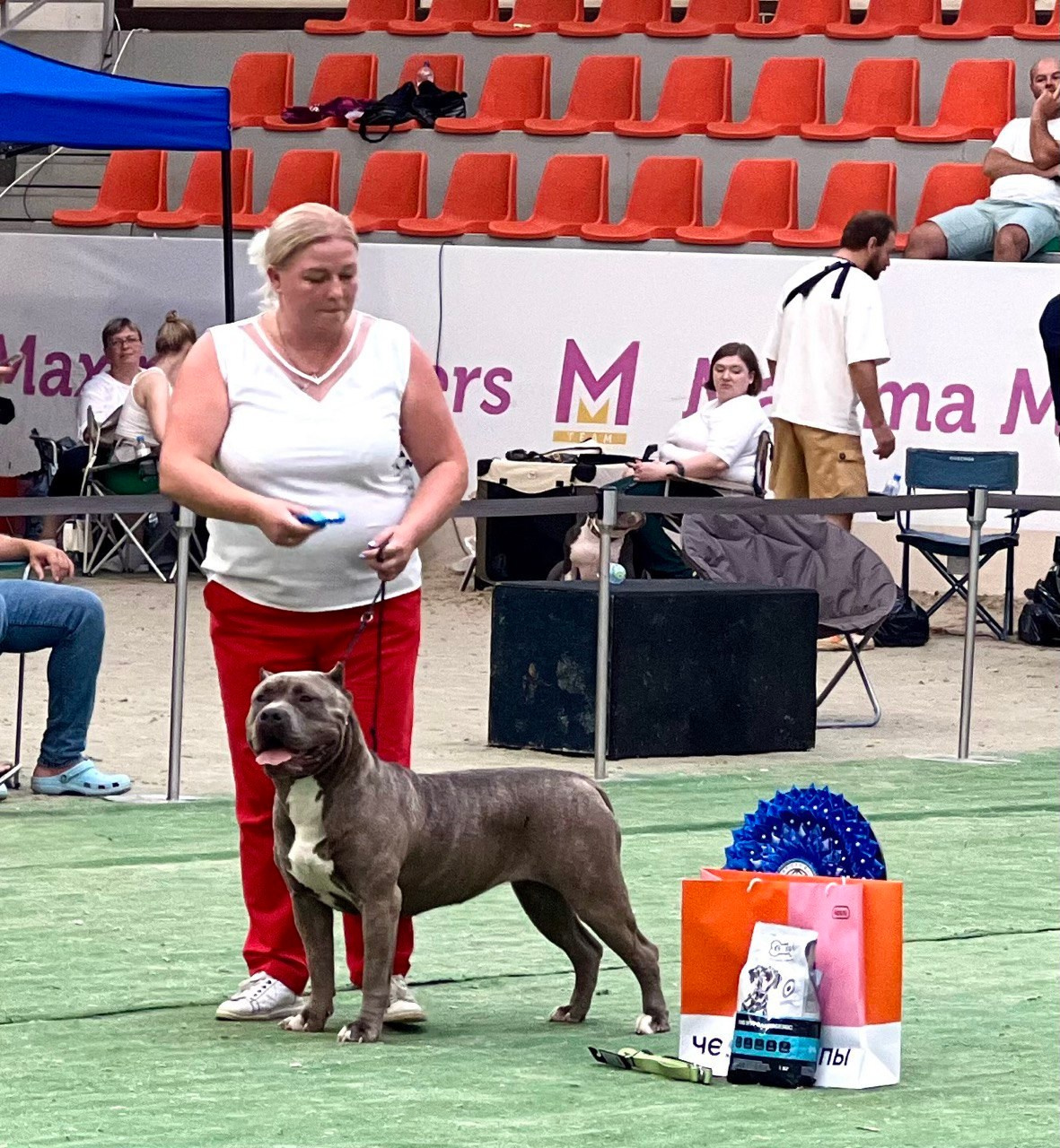 Участие в выставках. Американские булли XL в г. Калининград. Питомник Great Bully UNIVERSE