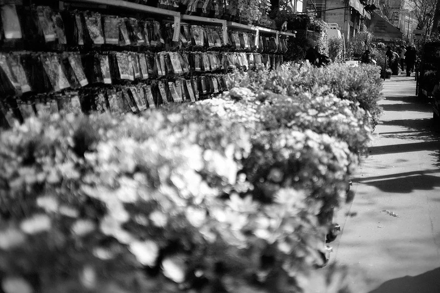 Путешествия. Фотограф Ирина Абзалова