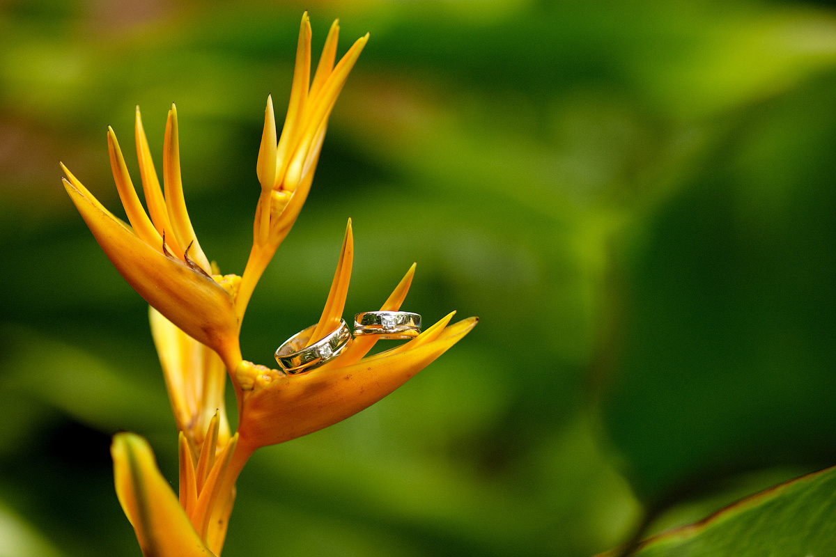 Свадебная фотосессия в Тайланде на берегу моря среди пальм на закате. Свадебный и портретный фотограф Сергей Кристев