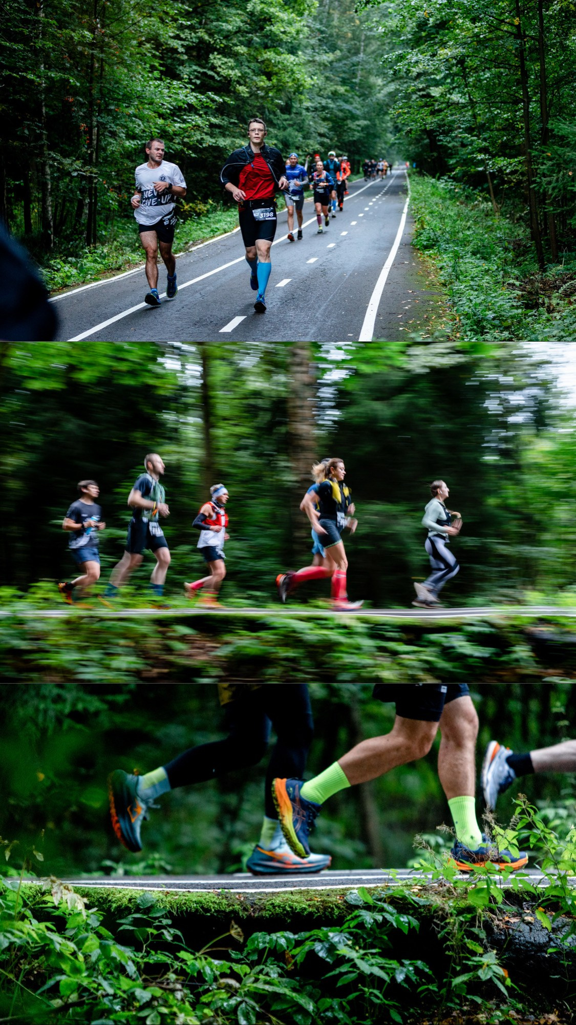 City Trail Losiny Ostrov. Павел Шарапов | Фотограф | Москва