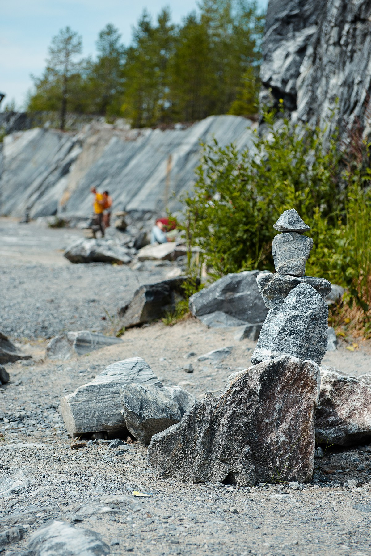 Карелия. Фотограф-анималист Наталья Светличная