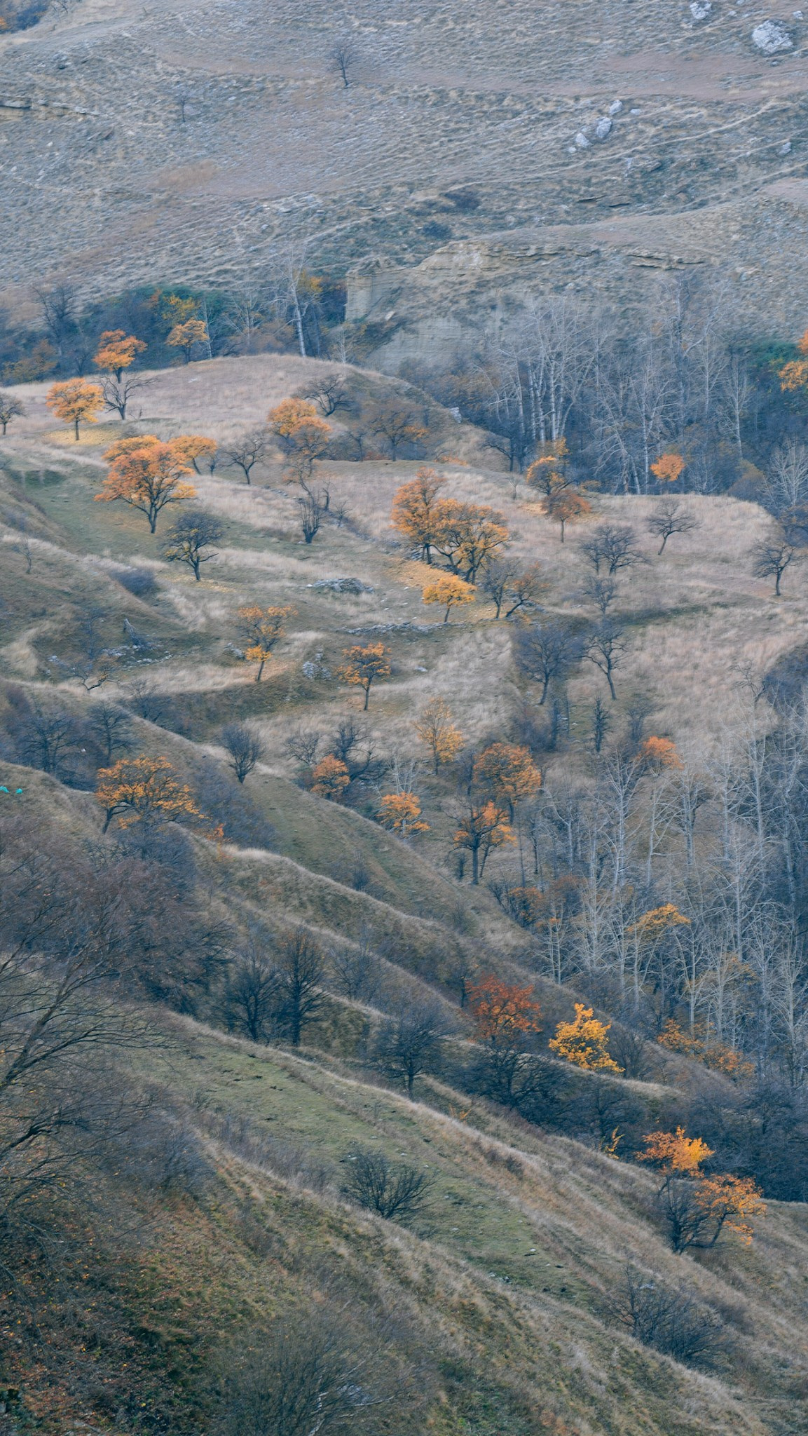 Дагестан 2023. Человек с фотокамерой