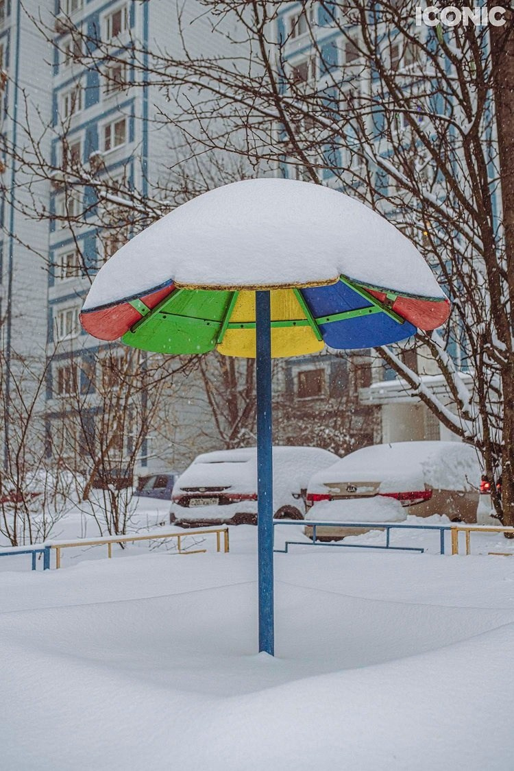 Iconic Artist. Фотографии Лены Соколовой