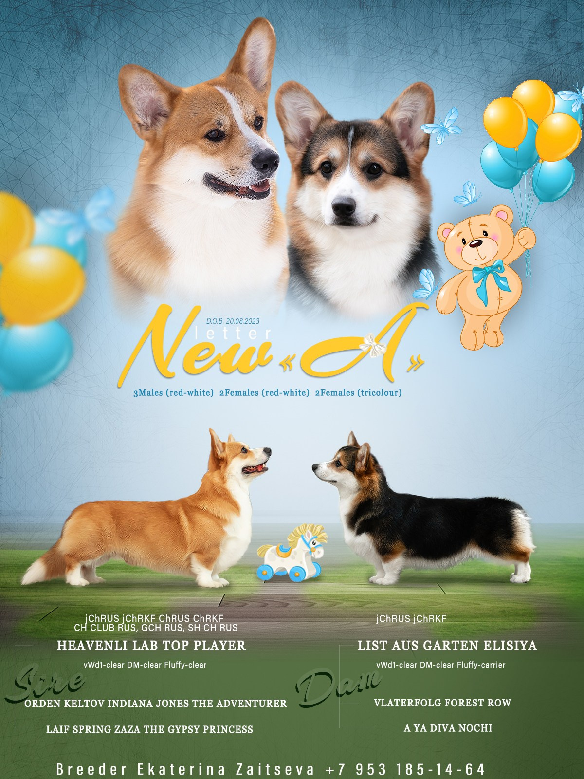 Презентации. Фотограф — анималист в Туле Юлия Лето