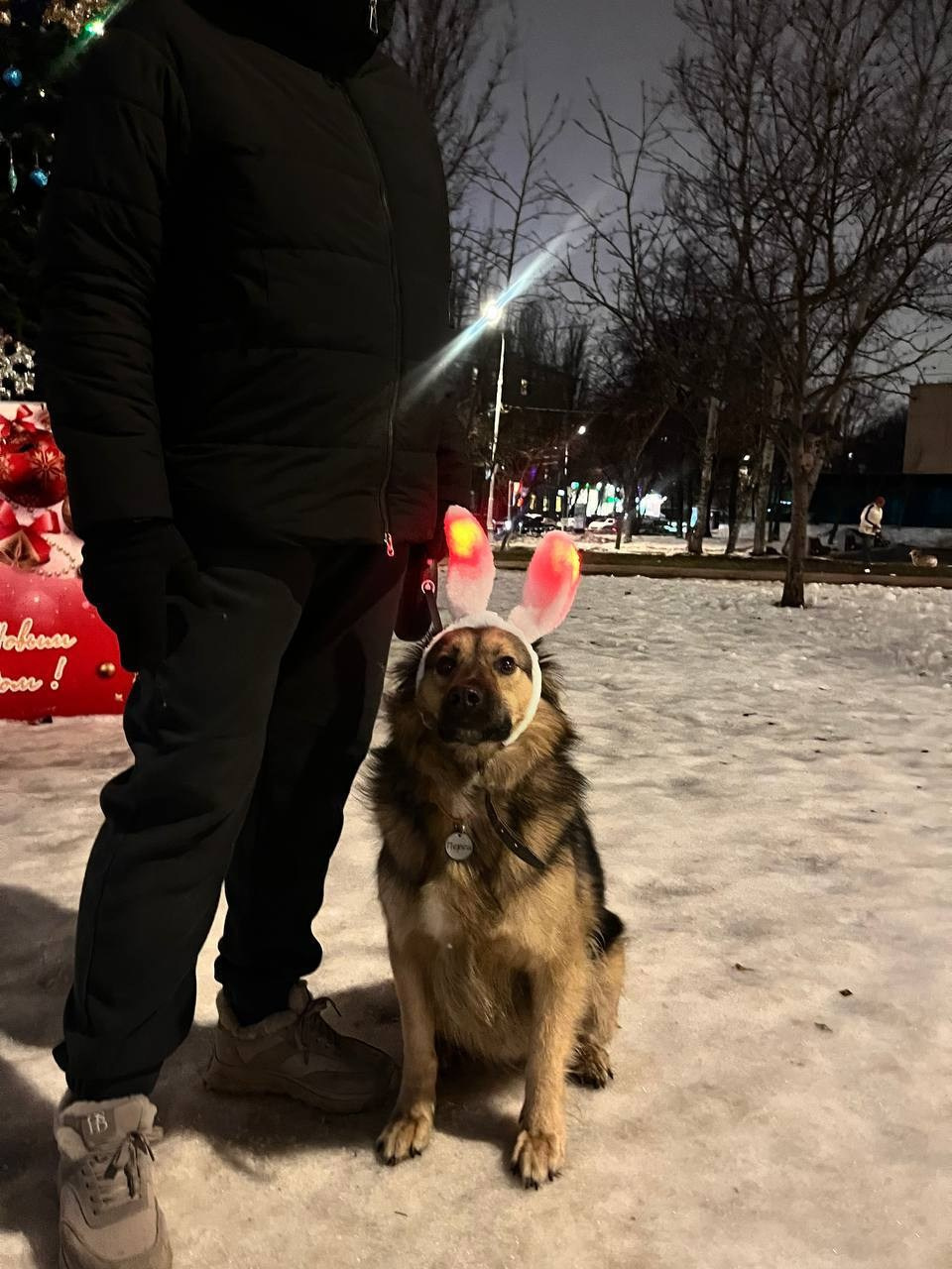 Уже дома. Забери домой друга