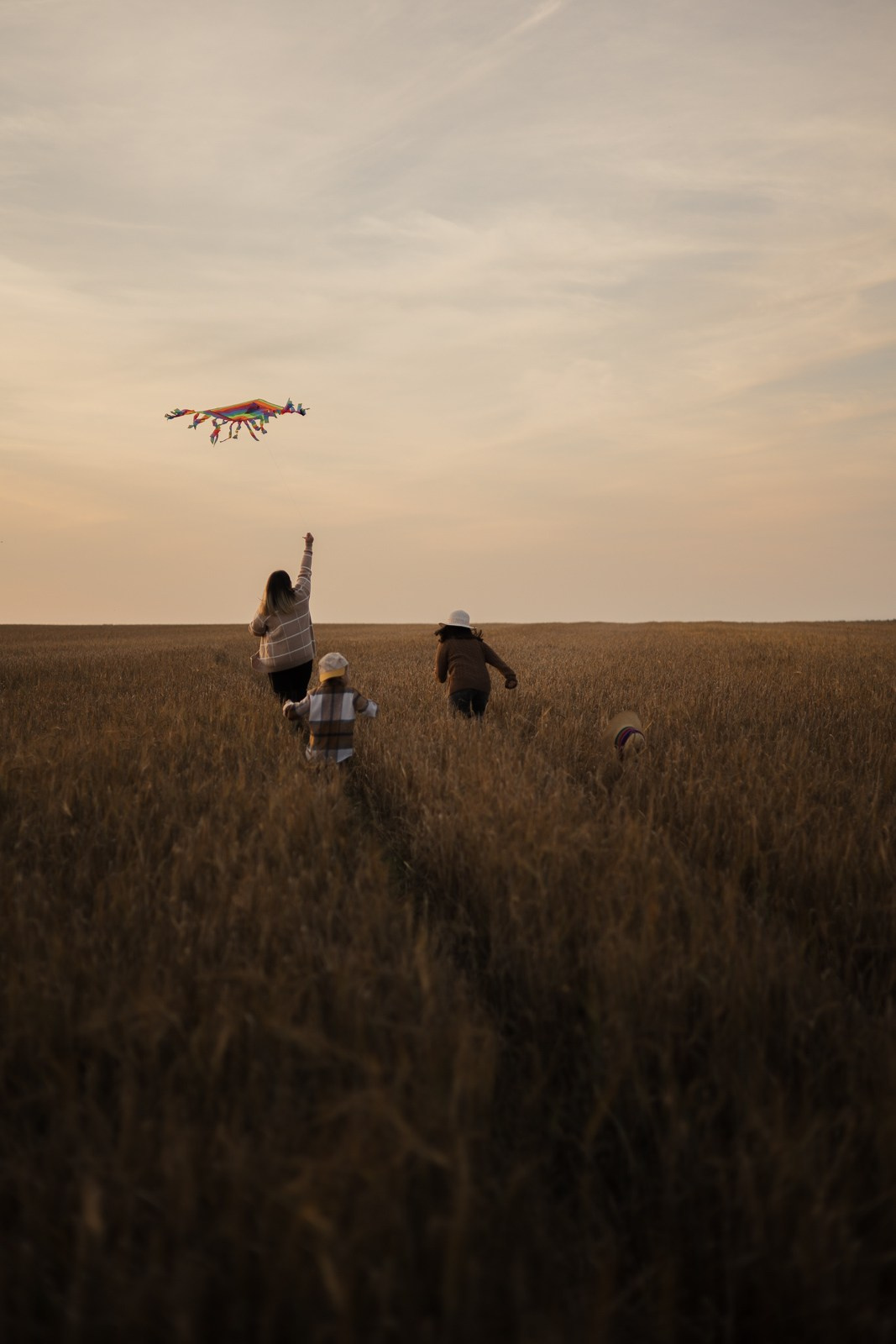 Семья в поле. Фотограф в Москве и Домодедово Ирина Коростелева