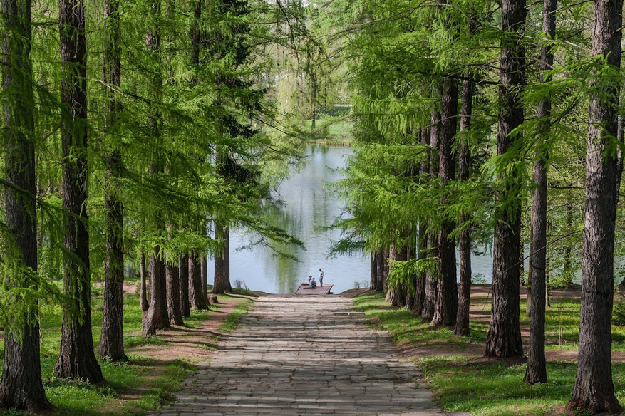 Площадка № 3-1. Свадебный и портретный фотограф Москва