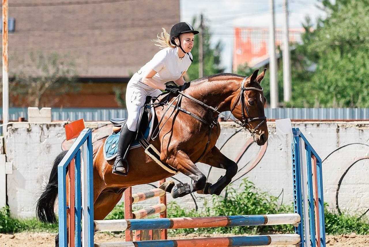 КОНКУР в КСК «Black Horse», 1 этап. Конный фотограф Куракина Дарья • Фотосессии с лошадьми