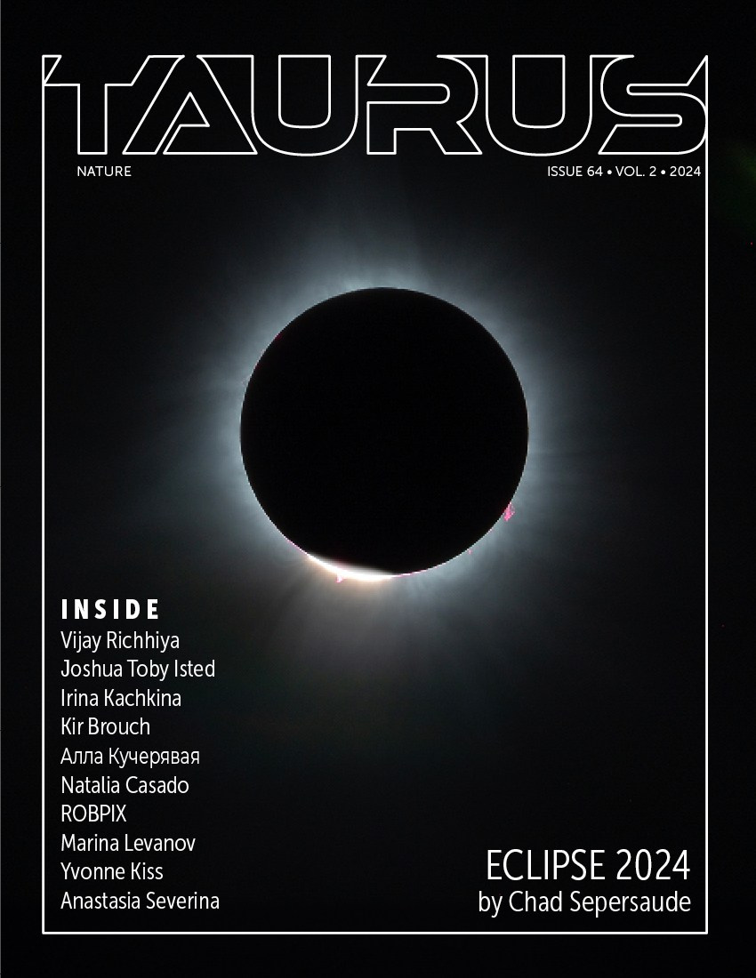 Публикации. Кучерявая || Фотограф || Самара·Питер·Москва