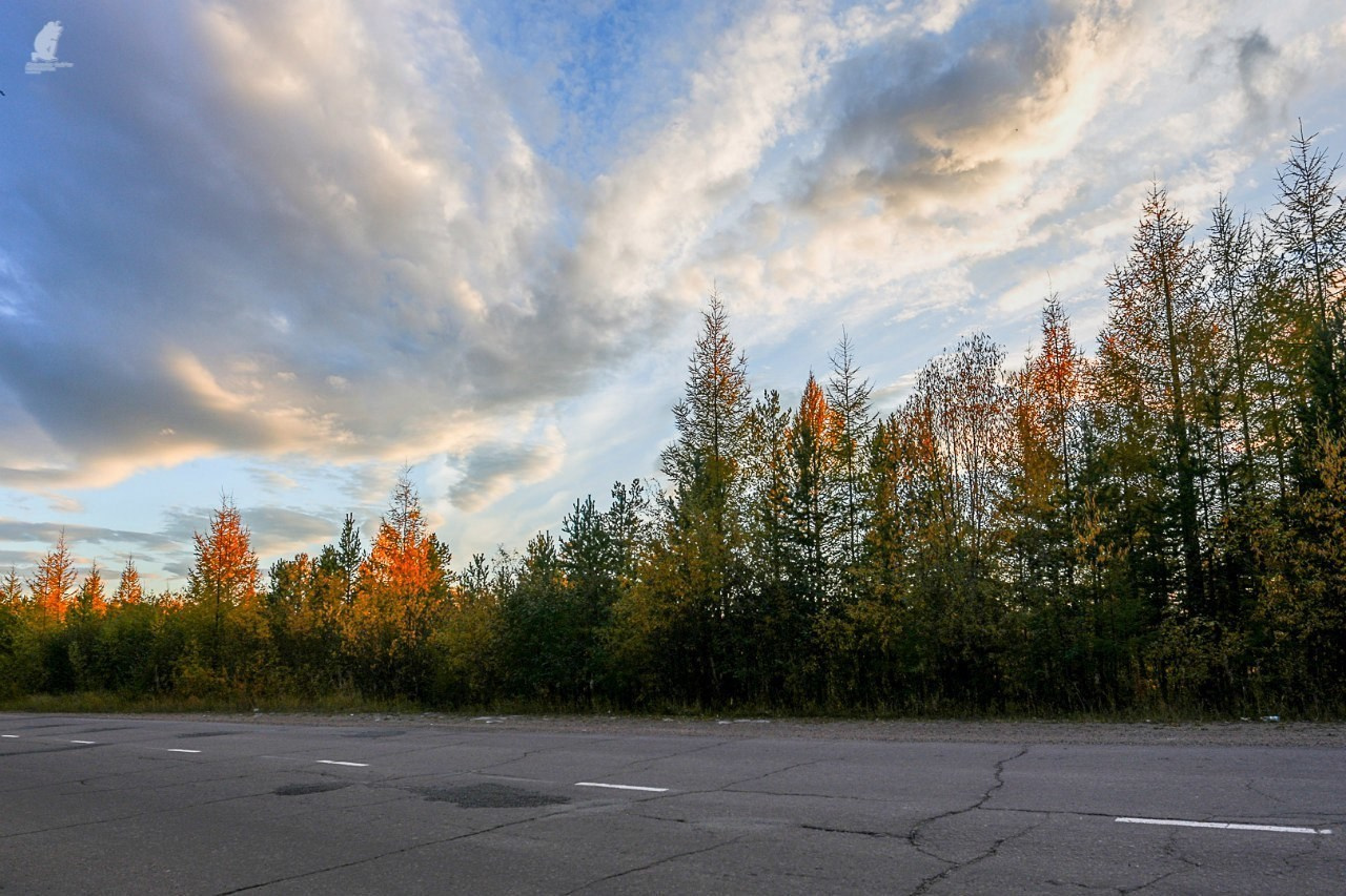 Природа. Коммерческий фотограф в Нерюнгри Габьев Александр