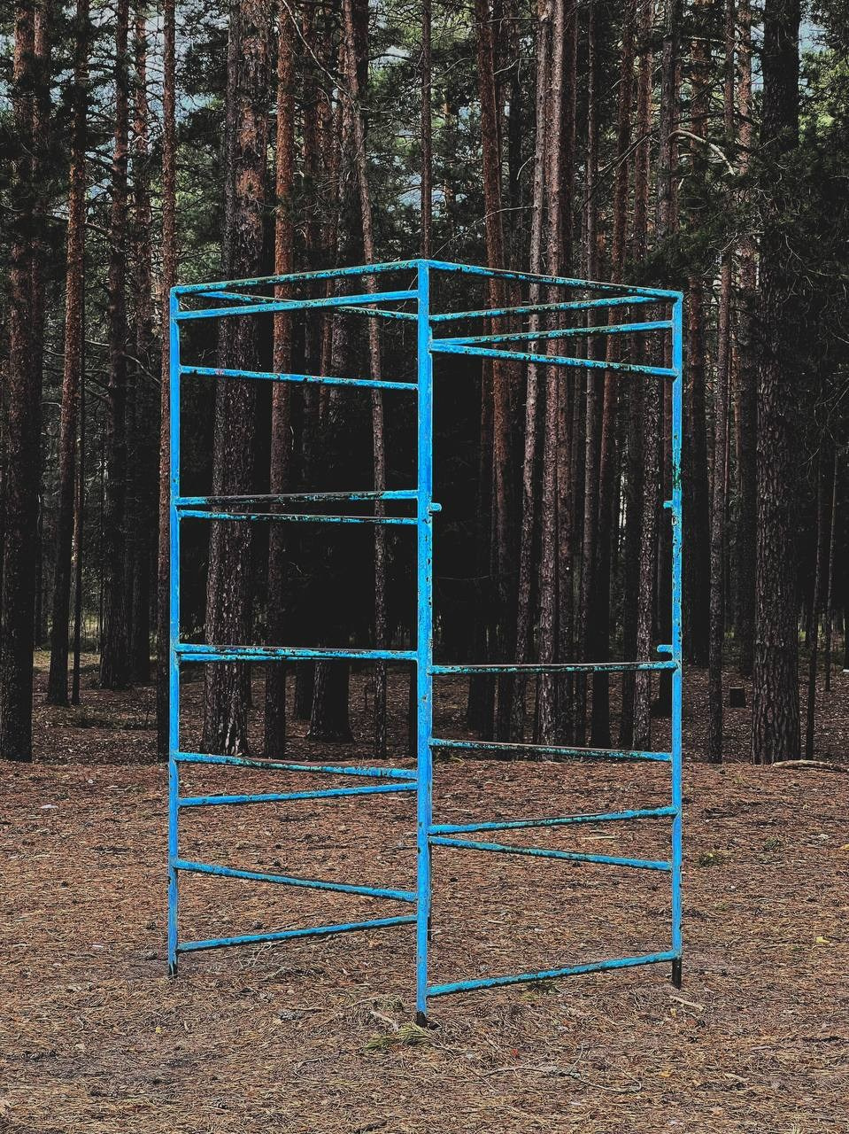 Геометрические фигуры. Светофография