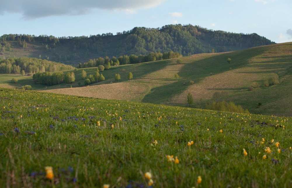 Фотокниги. Холсты. Печать
