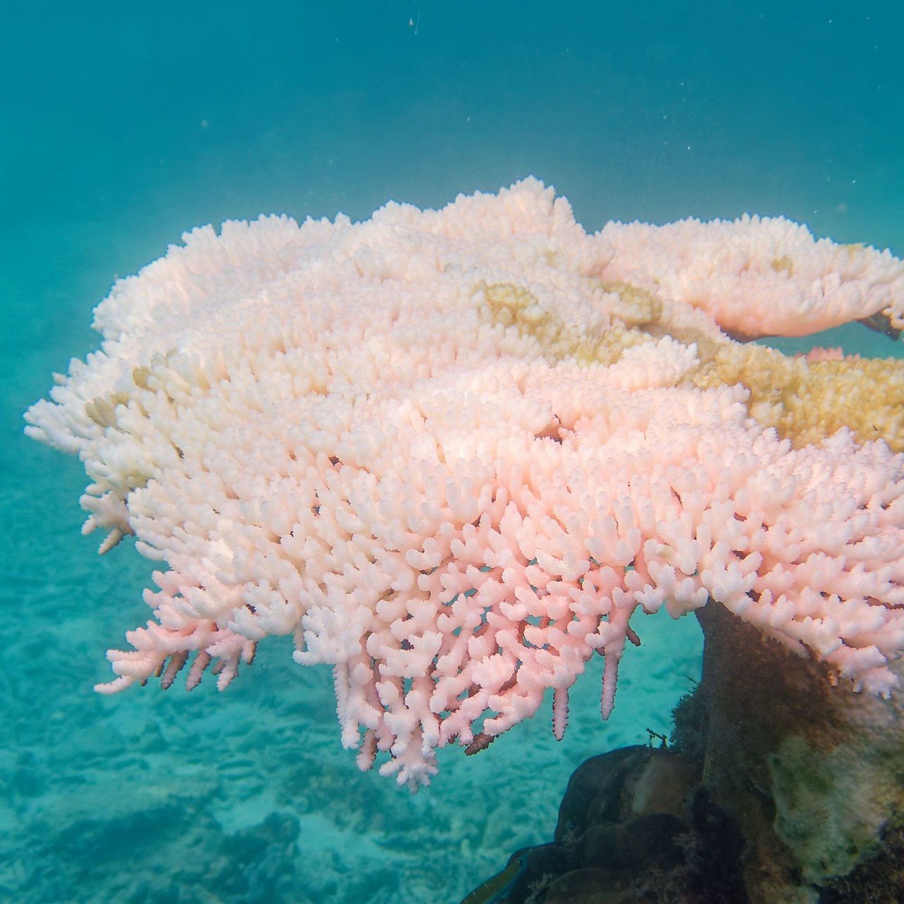 Мне посмотреть. Рыбов показываю