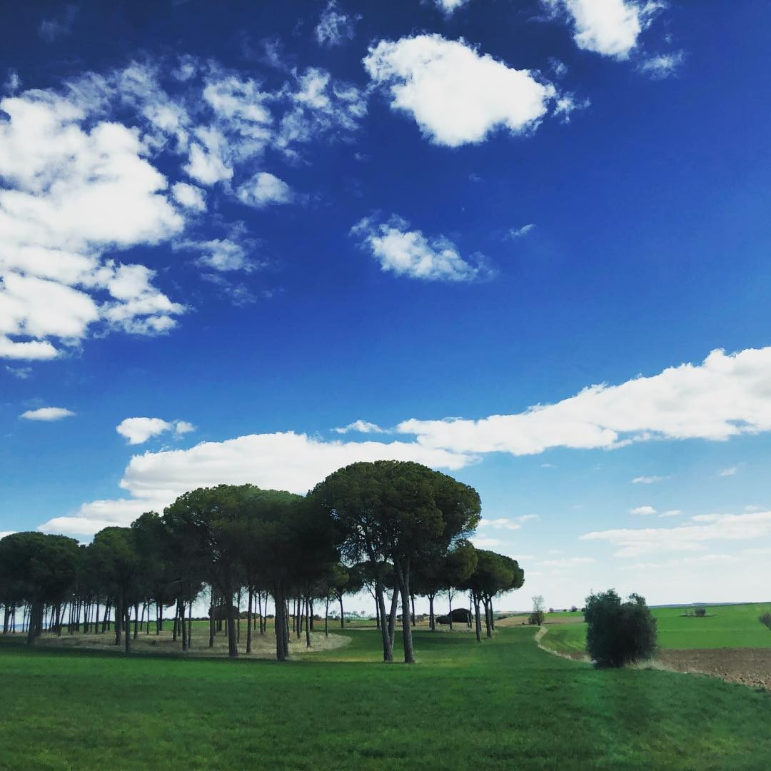 Anka`s Instagram. Заставка