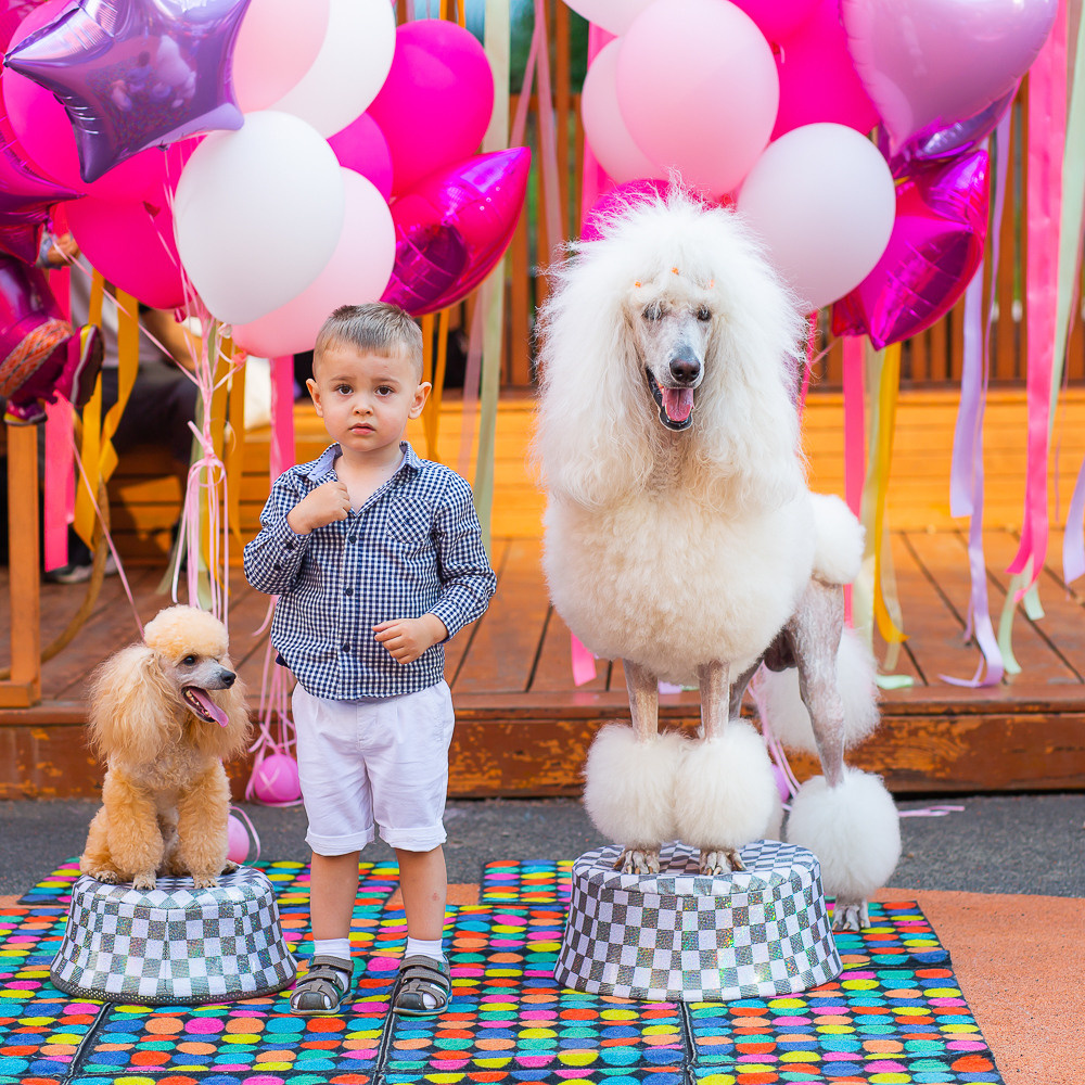СОФИКО 2 года. Семейный и свадебный фотограф Красногорск- Москва