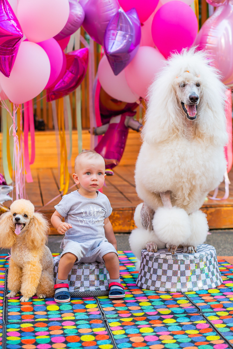 СОФИКО 2 года. Семейный и свадебный фотограф Красногорск- Москва