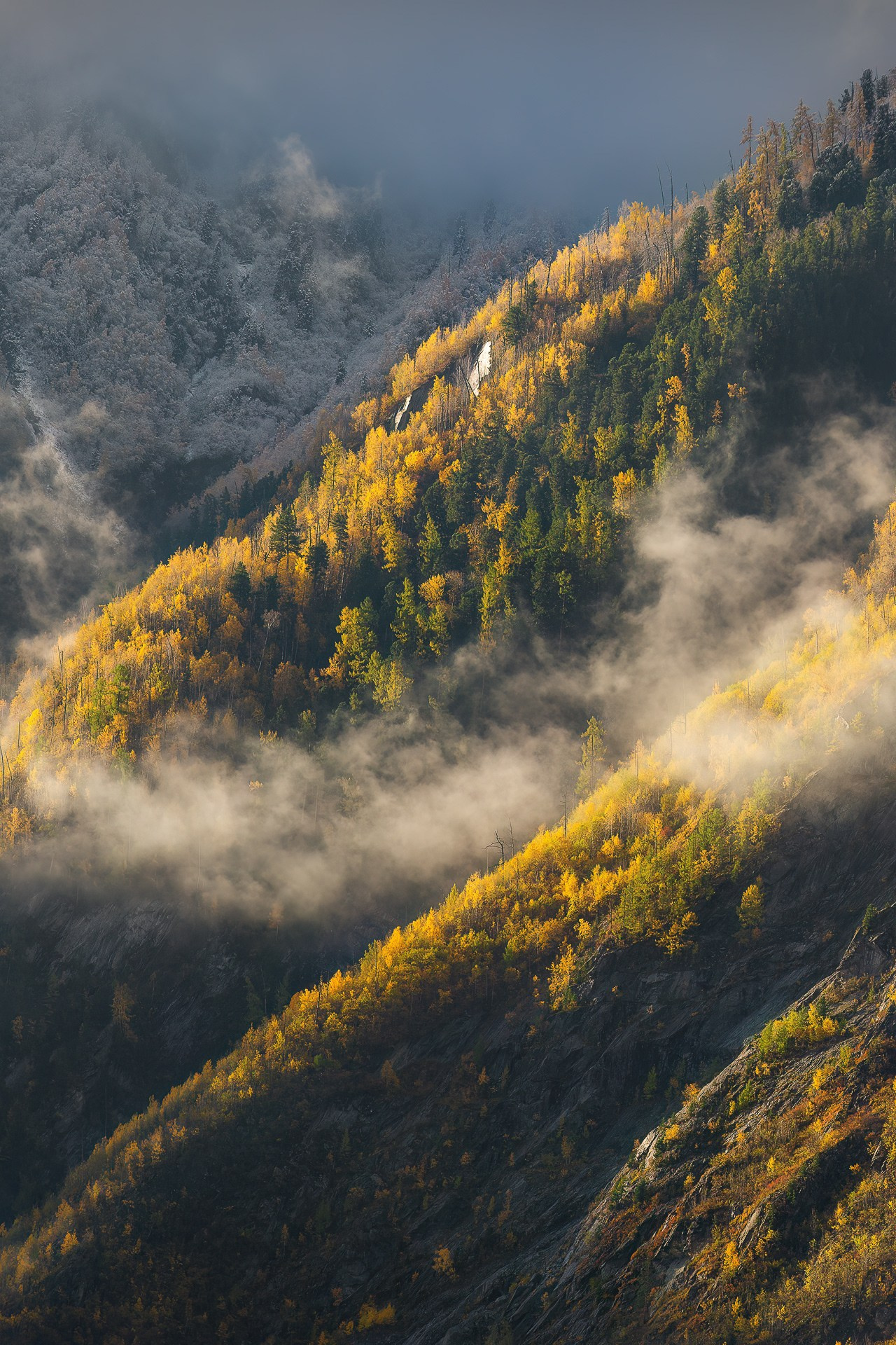 АЛТАЙ. Фототуры и обучение пейзажной фотографии