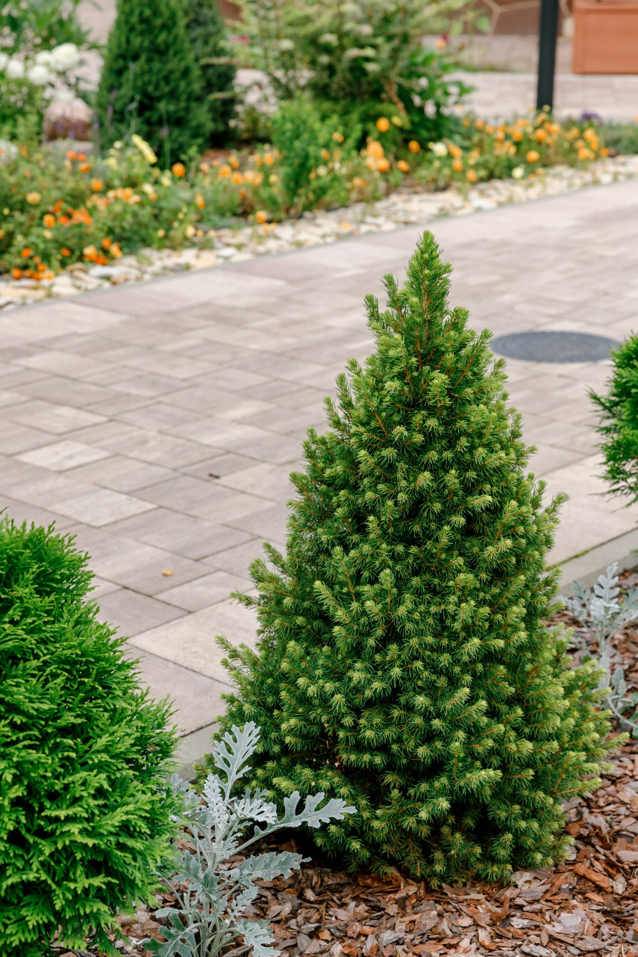 Загородный дом. Ландшафтный дизайн. Репортажный фотограф в Санкт-Петербурге Жолудев Владислав
