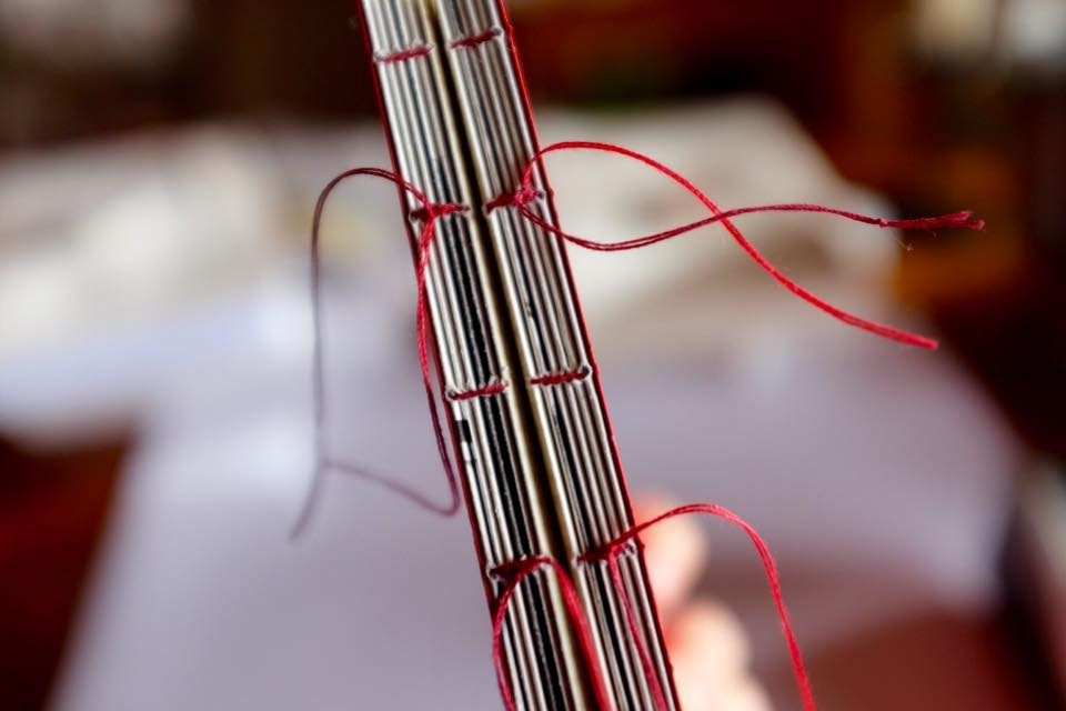 ИНТЕРВЬЮ С АВТОРАМИ: Ёсикацу Фудзии. Самоорганизация Низина