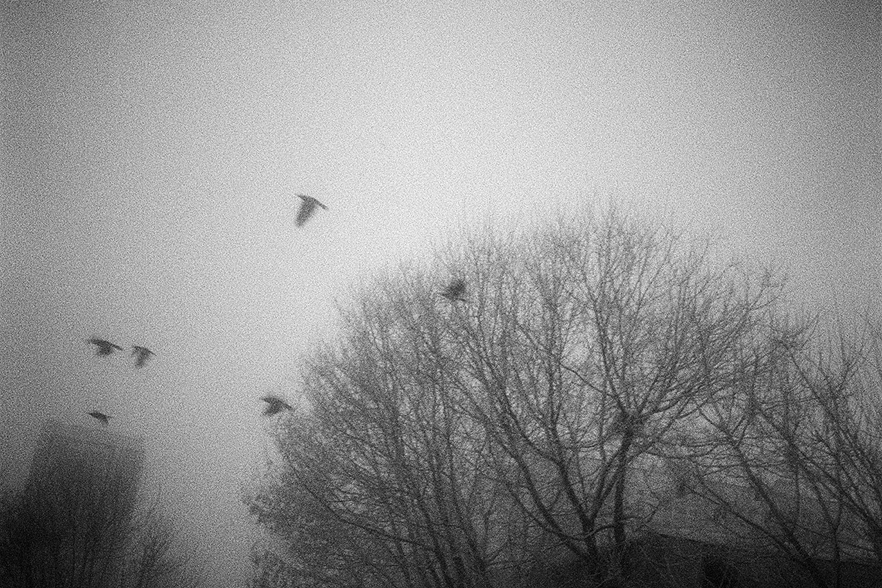 РАЗНОЕ. Андрей Пономарёв