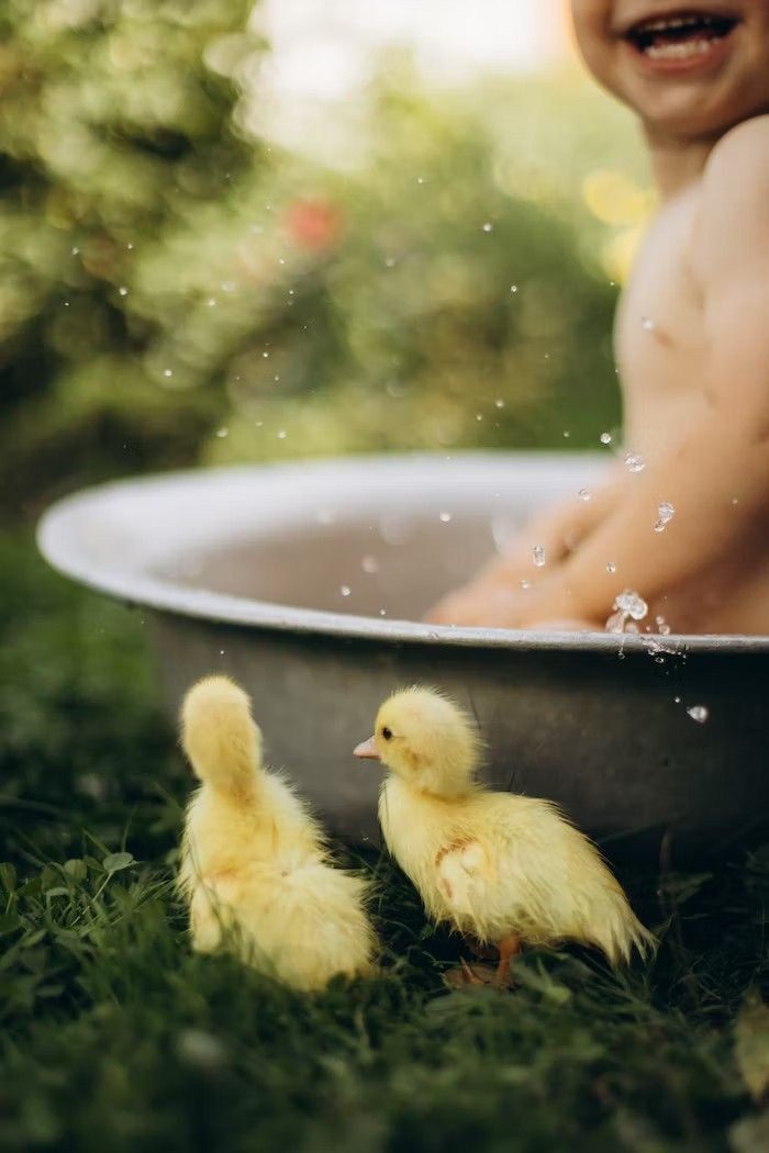 Летние фотопроекты