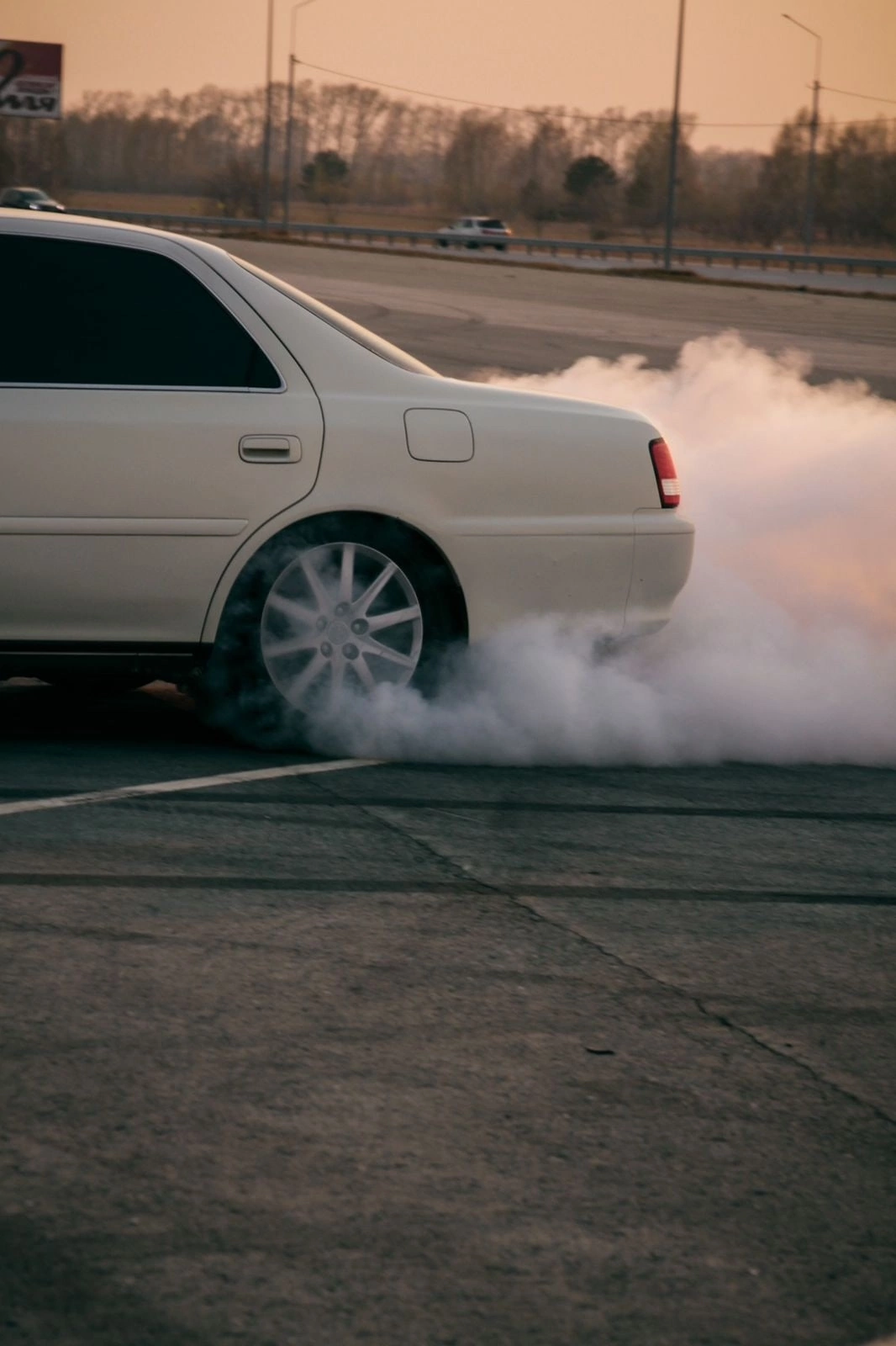 Сходки. Семейный фотограф Полина Легачева