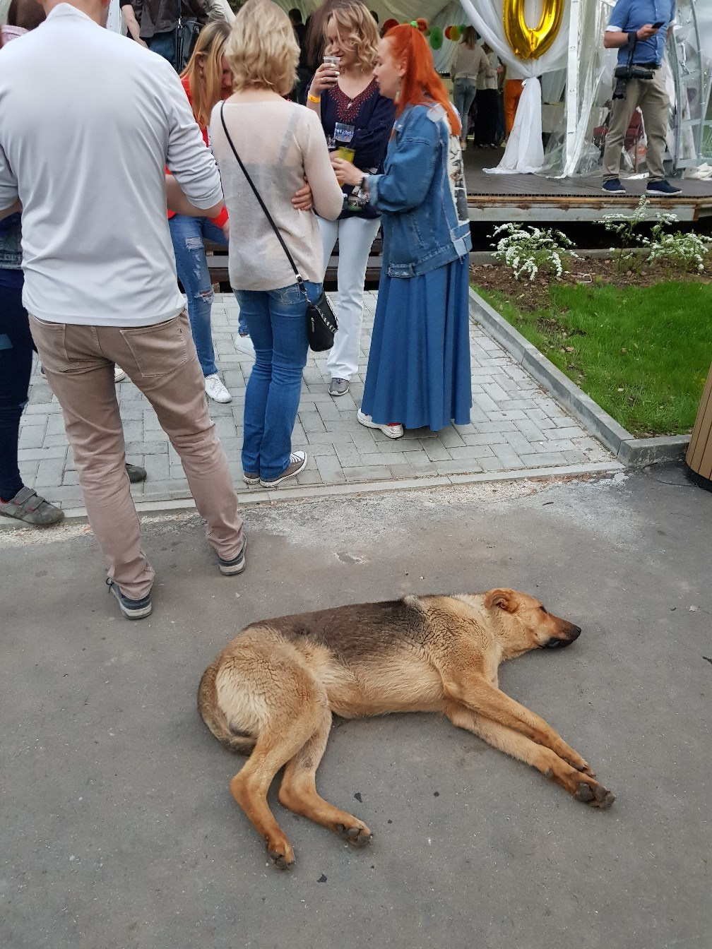 Десять! ДР Фантима (неофициальный) | 18.05.19 г. Галерея Фантим