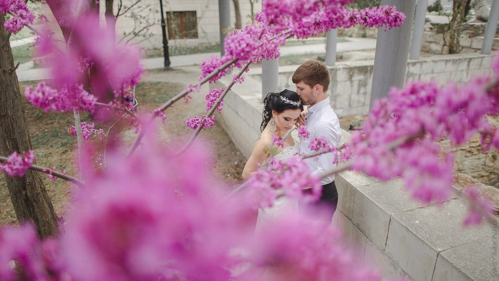 Фотография с гламурной свадьбы в Ярославле, где невеста стоит на дорожке, усыпанной романтическими красными розами, перед свадебным аркой