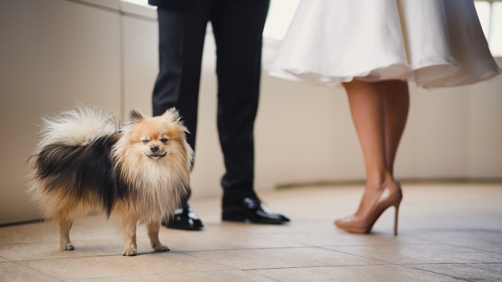 Невеста, стоящая рядом с украшенным автомобилем, ждущим их путешествие в мир счастливых дней