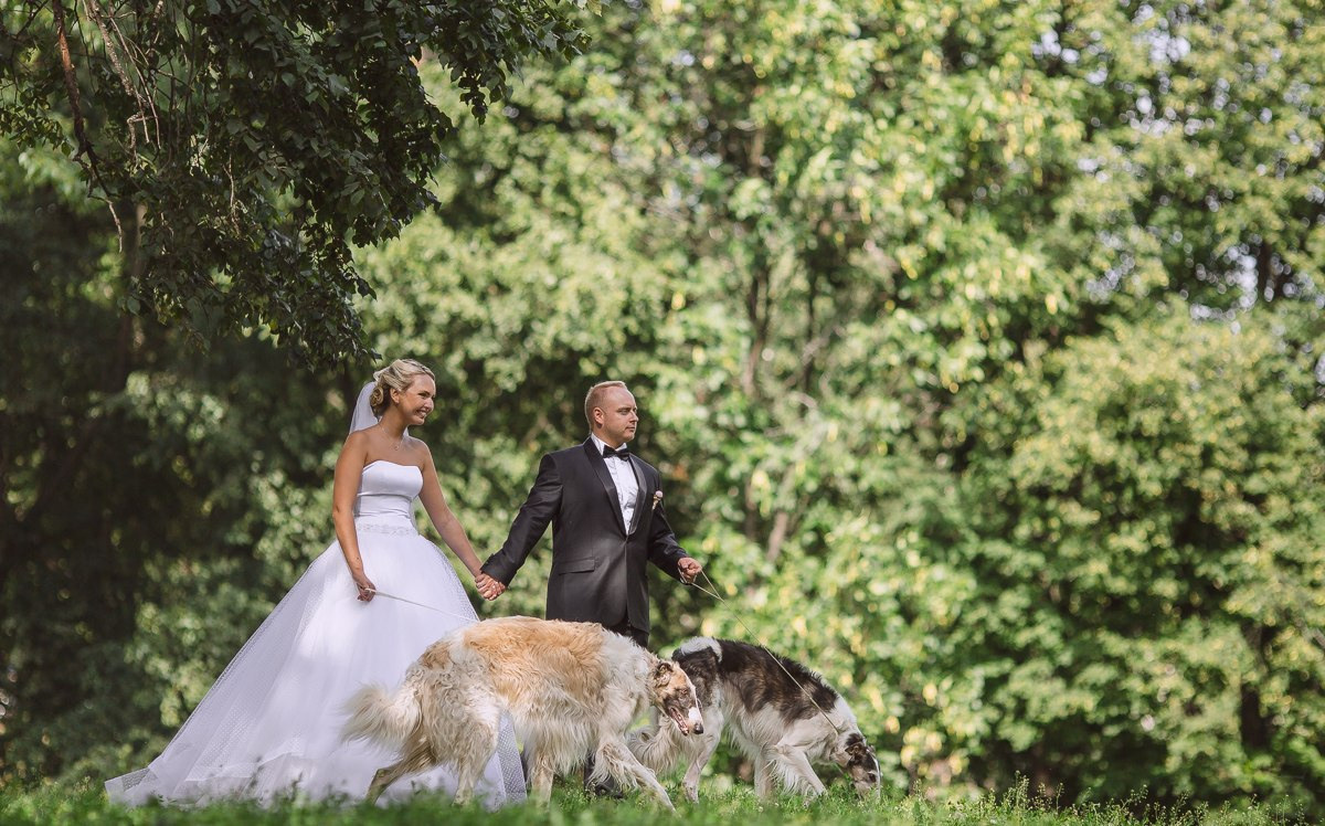 Молодые, идущие по длинной аллее, усыпанной лепестками роз, смущающими их пути