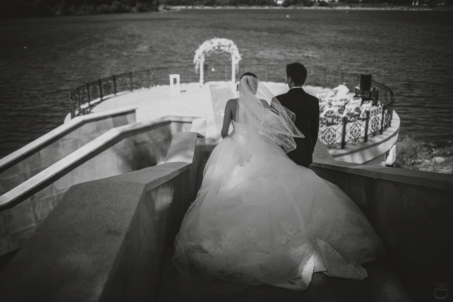 Новобрачные целуются на поле подсолнухов, окруженные яркими цветами и теплым солнечным светом, создавая атмосферу счастья и свежести