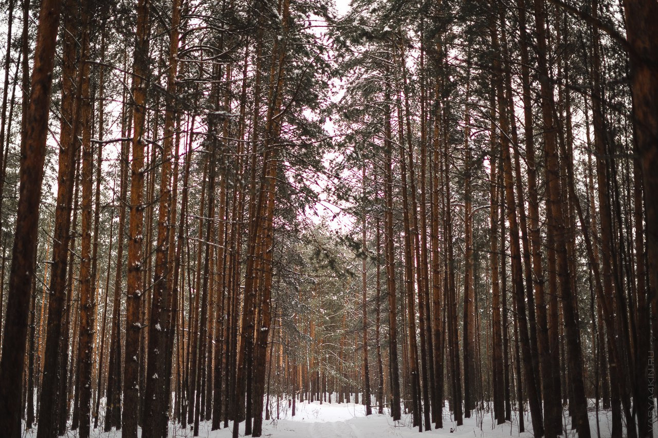 Завораживающий свадебный рассвет