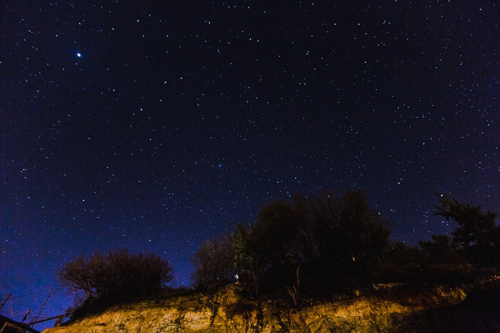 на фоне цветов скайлайн