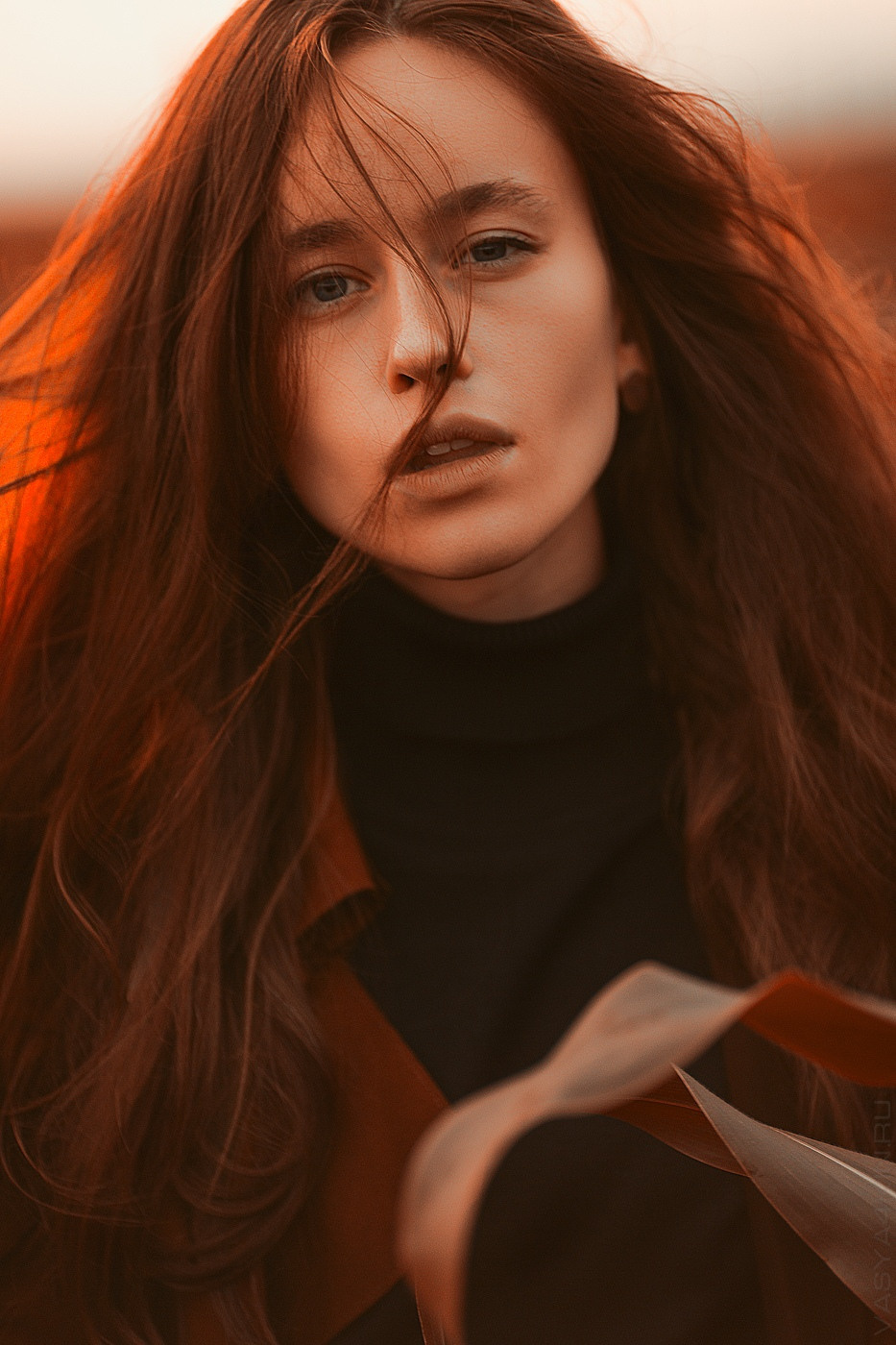 в стиле цветущей розы