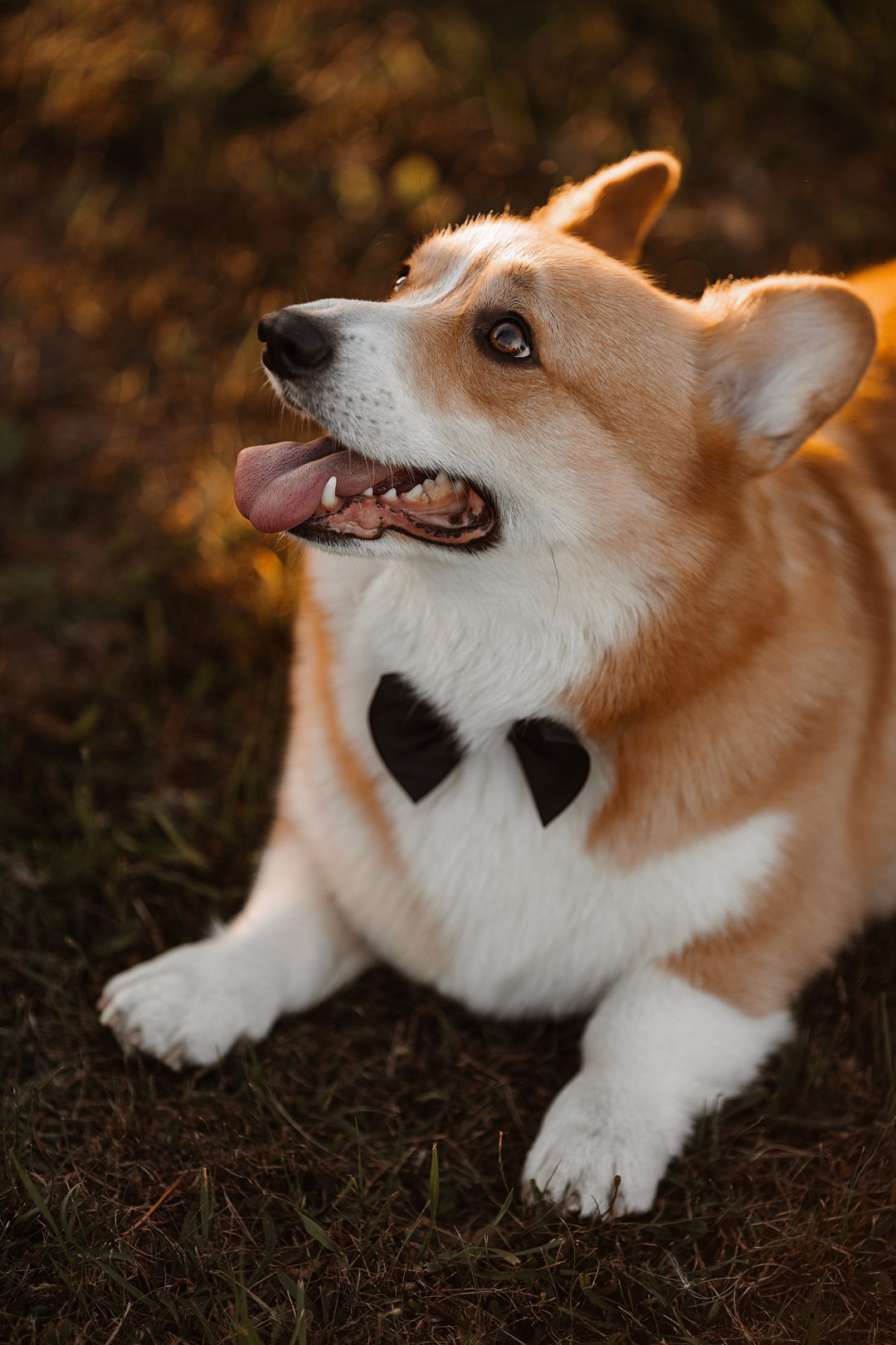  Свадебный поцелуй рядом со Сквером Толбухина