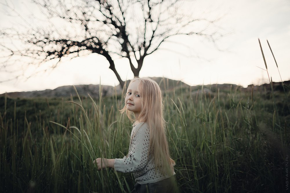 фотографирование свадебной розовой ветви