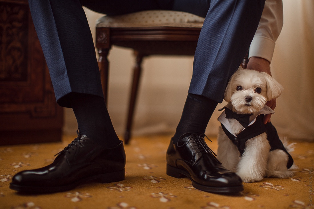 Руки молодых, переплетенные в замок, символизирующий их неразрывную связь